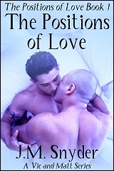 Cover for The Positions of Love