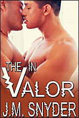 Cover for V: The V in Valor