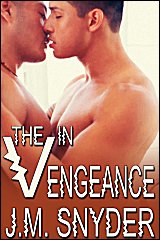 Cover for V: The V in Vengeance