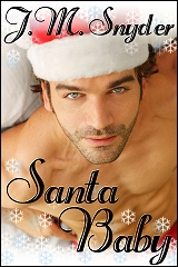 Cover for Secret Santa