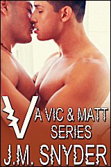 Cover for V: A Vic and Matt Series